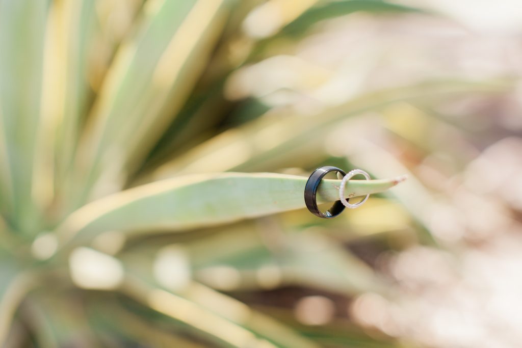 Wedding rings on stem